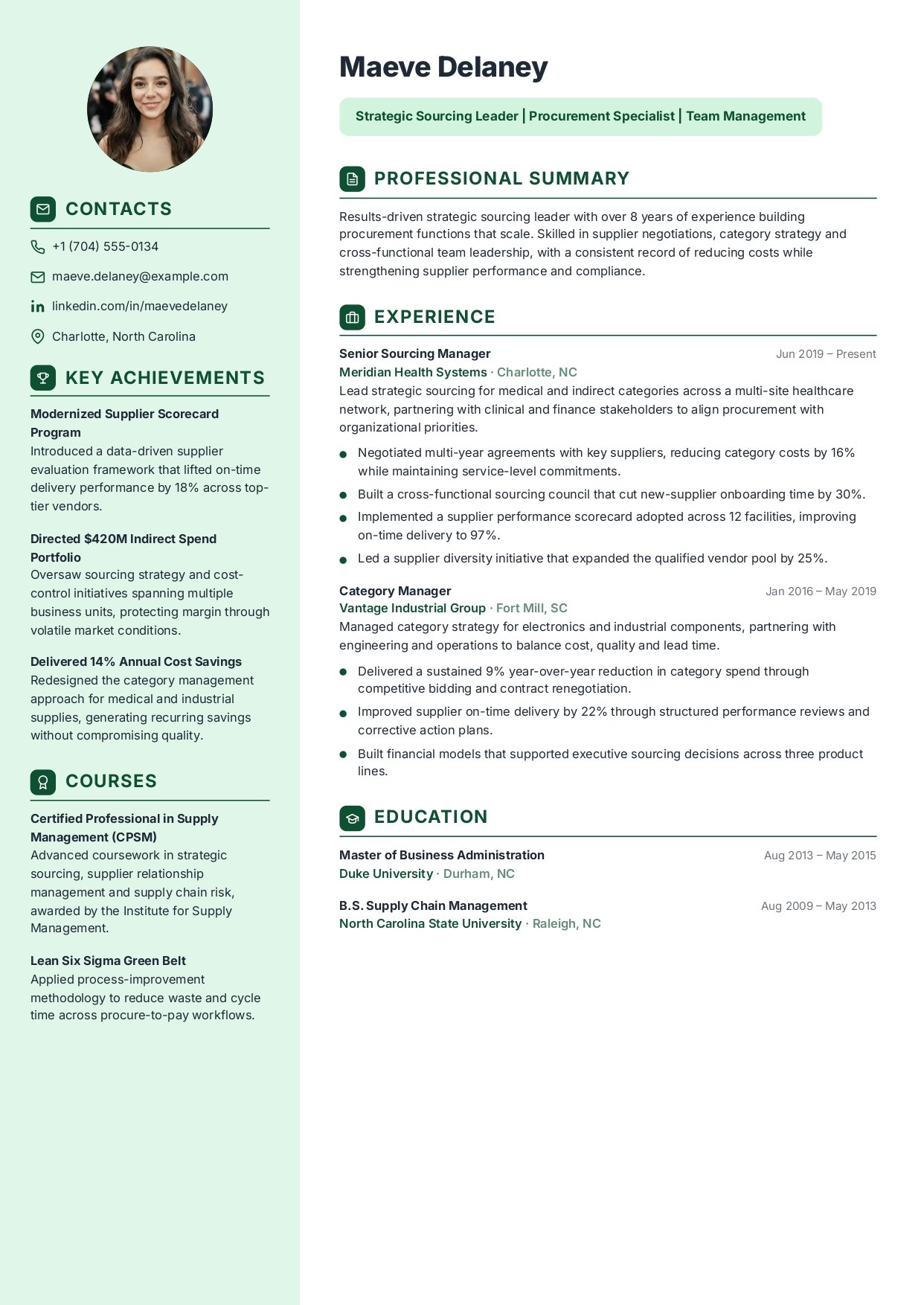 Team Leader professional resume template preview